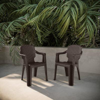 Winston Porter Calista Outdoor Patio Chairs (Set of 2), Brown