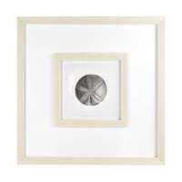 Rosecliff Heights Sand Dollar