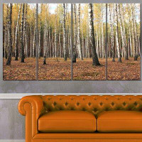 Made in Canada - Design Art 'Beautiful Birch Forest Photography' 4 Piece Photographic Print on Wrapped Canvas Set
