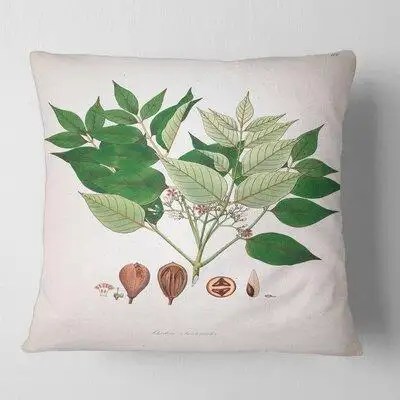 East Urban Home Vintage Plant Life XII Floral Pillow