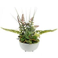 Northlight Seasonal 11.5" Potted Green Artificial Mixed Succulent Fern Plant