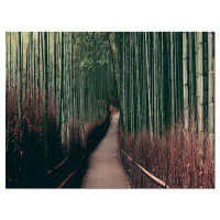 Made in Canada - Design Art 'Bamboo Grove in Arashiyama Panorama' Photographic Print on Wrapped Canvas