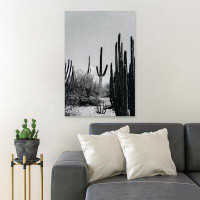 MentionedYou Green Cactus Plants During Daytime 1 - 1 Piece Rectangle Graphic Art Print On Wrapped Canvas