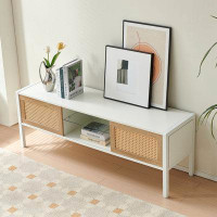 Bay Isle Home™ TV stand with variable color light strip, double sliding doors and adjustable shelf-19.49" H x 54.33" W x