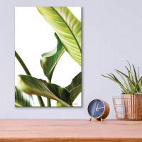Bay Isle Home™ Bay Isle Home™ ''Plant Leaves'' By Donnie Quillen, Acrylic Glass Wall Art