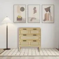 Bayou Breeze 3-drawer modern rattan dresser with metal handles for bedroom