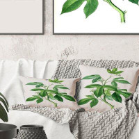 East Urban Home Square,Vintage Green Leaves Plants V - Traditional Printed Throw Pillow