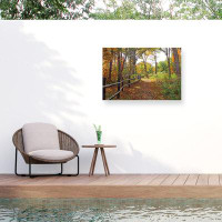 Trademark Fine Art Leslie Montgomery A Stroll Along The Gorge Outdoor  Canvas