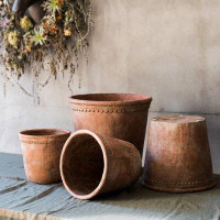 Bungalow Rose Keilson Terracotta Pot Planter