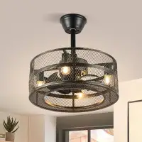 17 Stories Industrial Style Caged Ceiling Fan With Light Kit And Remote
