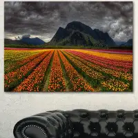 Design Art 'Beautiful Coloured Tulips Panorama' Photographic Print on Wrapped Canvas