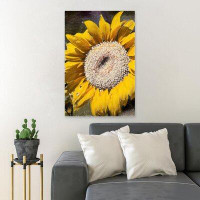 Gracie Oaks Yellow Sunflower In Close Up Photography 48 - 1 Piece Rectangle Graphic Art Print On Wrapped Canvas
