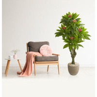 Brayden Studio 5ft. Plumeria Artificial Tree in Decorative Planter UV Resistant (Indoor/Outdoor)