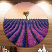 Made in Canada - Design Art 'Lavender and Lonely Tree Uphill' Photographic Print on Metal