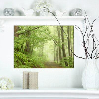 Made in Canada - East Urban Home 'Forest Trail at Beech Trees in the Fog' Photographic Print on Wrapped Canvas