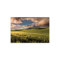Latitude Run® Rolling Hills Of Wheat At Sunrise, Palouse Region, Washington State Print On Acrylic Glass