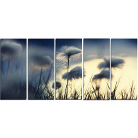 Design Art 'Arctic Blooming Cotton Flowers' 5 Piece Photographic Print on Wrapped Canvas Set