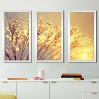 Made in Canada - Picture Perfect International 'Dewy Dandelion Flower at Sunset Close Up Full B' 3 Piece Framed Graphic