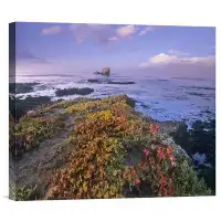 East Urban Home 'Iceplant Covering Coastal Rocks' Photographic Print on Canvas
