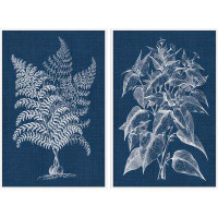 Bayou Breeze 'Plant Diptych' 2 Piece Framed Drawing Print Set on Canvas