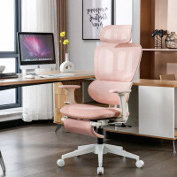 fuzhouchangchengdianzishangwuyouxiangongsi Ergonomic Mesh Office Chair High Back Home Desk Computer Chair,with 2D Adjust