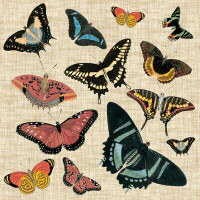 Rosalind Wheeler Butterflies & Linen II