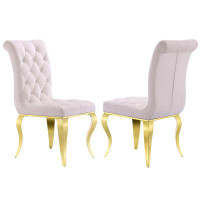 House of Hampton Gerjan Tufted Stainless Steel Parsons Chair in White