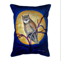 Millwood Pines Owl In Moon 20X24 Extra Large Zippered Indoor/Outdoor Pillow