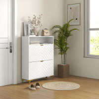Orren Ellis Shoe Storage Cabinet With 2 Drawers For 12 Pairs Of Shoes, White