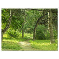 Made in Canada - Design Art 'Green Forest Path in Early Summer' Photographic Print on Wrapped Canvas