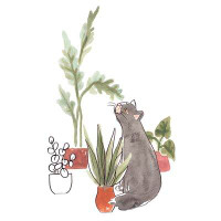 Red Barrel Studio Purrfect Plants IV by June Erica Vess - Wrapped Canvas Painting