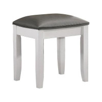 Alcott Hill Sedgemoor Solid Wood Accent Stool in Metallic and White
