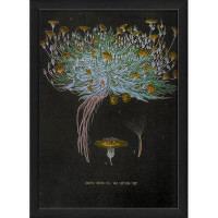 August Grove Cyperus Fuscus Vintage Plant Study Framed Graphic Art
