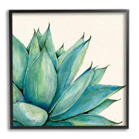 Stupell Industries Aloe Plant Watercolor Style Leaves Giclee Art By Stephanie Workman Marrott
