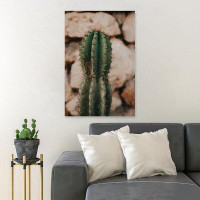 Foundry Select Green Cactus Plant On Brown Rock - 1 Piece Rectangle Graphic Art Print On Wrapped Canvas