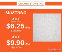 Affordable Mustang Ceiling Tiles