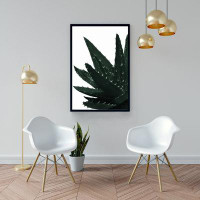 Brayden Studio Aloe plant - 24"x36" Framed canvas