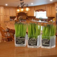 Winston Porter 3 Piece Family Quotes Printed Artificial Foliage Grass in Square Jar Set