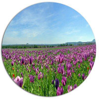 Design Art 'Purple Poppy Field Panorama' Photographic Print on Metal