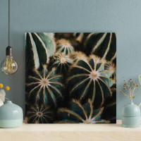 Foundry Select Green And Brown Plant During Daytime 1 - 1 Piece Square Graphic Art Print On Wrapped Canvas