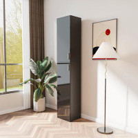 Hokku Designs Accent Cabinet Corner Cabinet Black Cabinet Tall Cabinet With Doors