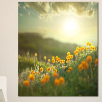 Design Art 'Yellow Flowers in Meadow at Morning' Photographic Print on Wrapped Canvas