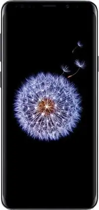 Galaxy S9 Plus 64 GB Unlocked -- Buy from a trusted source (with 5-star customer service!)
