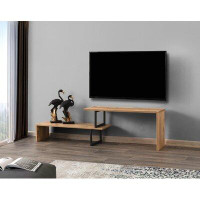 Wrought Studio Juni TV Stand for TVs up to 40"