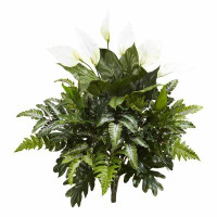 Charlton Home Mixed Spathiphyllum Desktop Foliage Plant