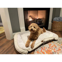 Tucker Murphy Pet™ Celebrity Pet Luxury Pet Bed With Memory Foam Khaki Large