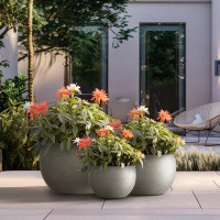 Latitude Run® High Round Large Tall Outdoor / Indoor Concrete Succulent Planters Plant Pot  Set Of 3