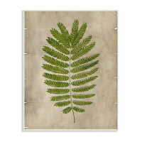 Gracie Oaks 'Plant Parchment Green' Graphic Art Print