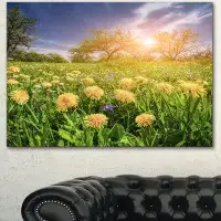 Made in Canada - Design Art 'Blossom Dandelions in Green Garden' Photographic Print on Wrapped Canvas