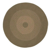 August Grove Divine Hand Braided Palm/Ivory Area Rug